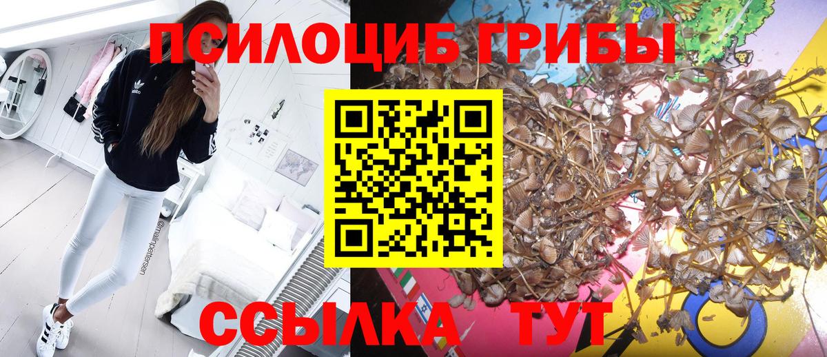 Соликамск  Псилоцибиновые грибы мухоморы  Вход с VPN  Галлюциногенные грибы мухоморы 