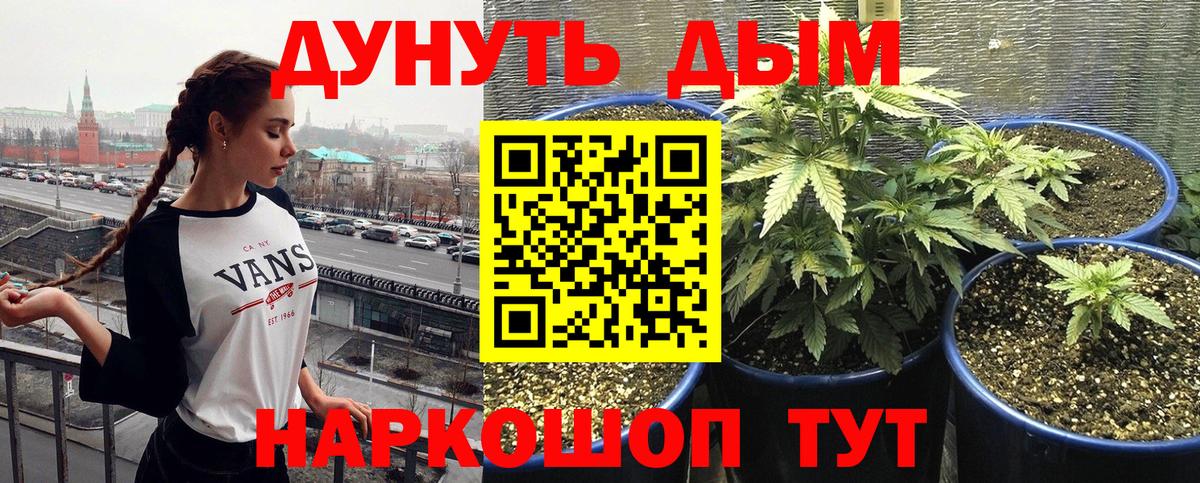 МАРИХУАНА конопля Соликамск